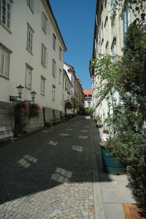 Vitez Apartment II ลูบลิยานา ภายนอก รูปภาพ