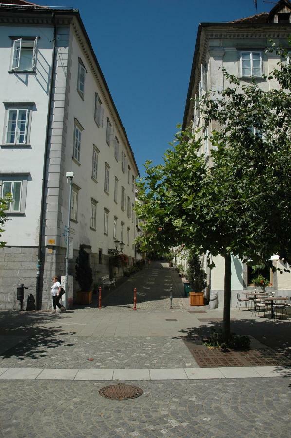 Vitez Apartment II ลูบลิยานา ภายนอก รูปภาพ